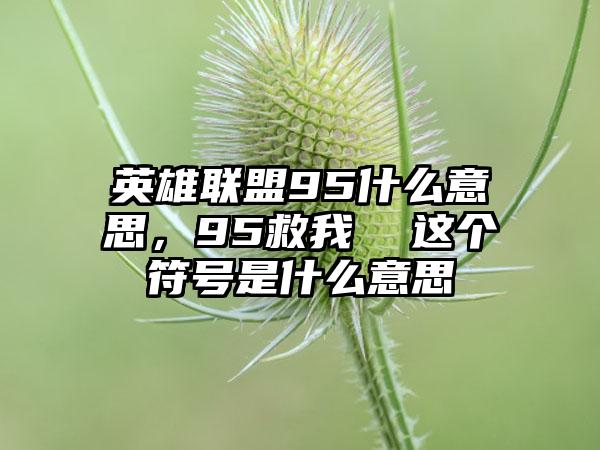 英雄联盟95什么意思，95救我  这个符号是什么意思