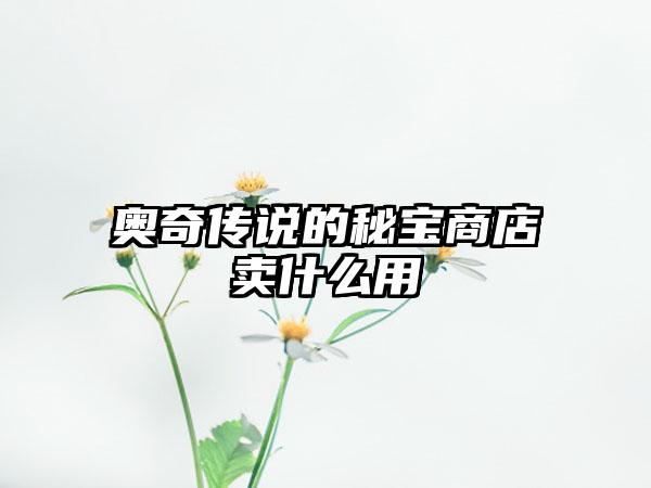 奥奇传说的秘宝商店卖什么用