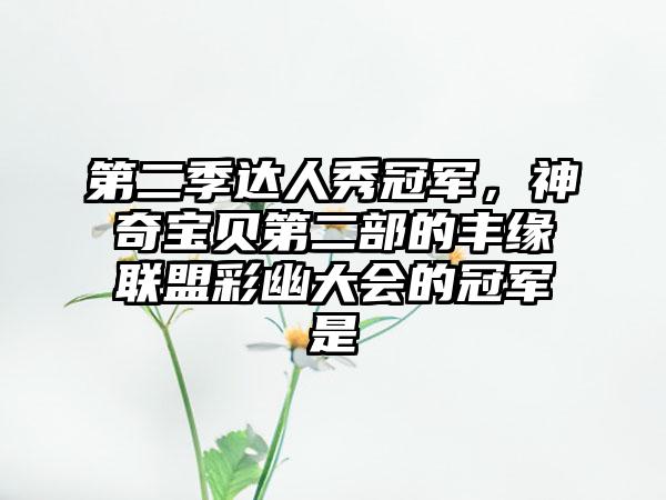 第二季达人秀冠军，神奇宝贝第二部的丰缘联盟彩幽大会的冠军是