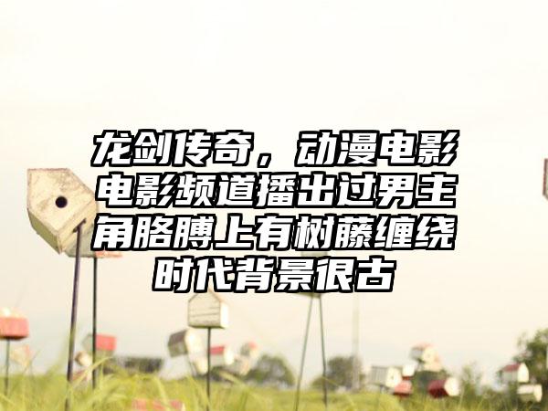 龙剑传奇，动漫电影电影频道播出过男主角胳膊上有树藤缠绕时代背景很古