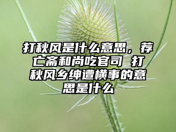 打秋风是什么意思，荐亡斋和尚吃官司 打秋风乡绅遭横事的意思是什么
