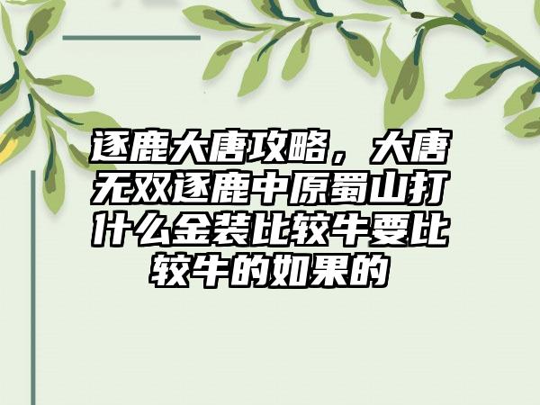 逐鹿大唐攻略，大唐无双逐鹿中原蜀山打什么金装比较牛要比较牛的如果的