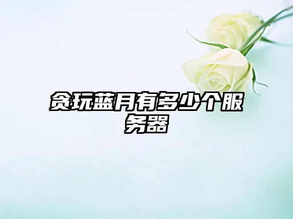 贪玩蓝月有多少个服务器