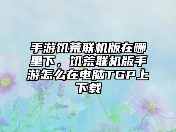 手游饥荒联机版在哪里下，饥荒联机版手游怎么在电脑TGP上下载