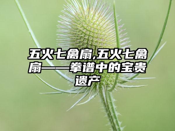 五火七禽扇,五火七禽扇——拳谱中的宝贵遗产