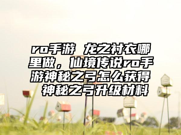 ro手游 龙之衬衣哪里做，仙境传说ro手游神秘之弓怎么获得 神秘之弓升级材料
