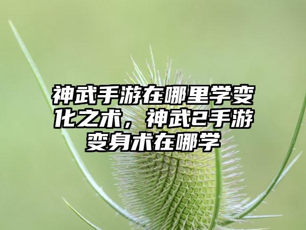 神武手游在哪里学变化之术，神武2手游变身术在哪学