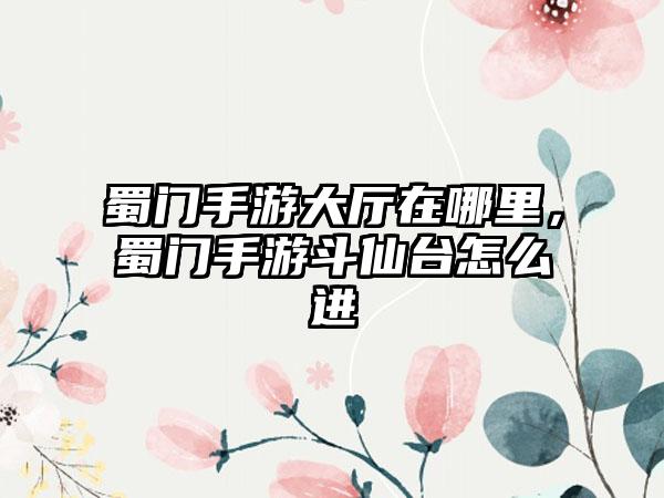 蜀门手游大厅在哪里，蜀门手游斗仙台怎么进