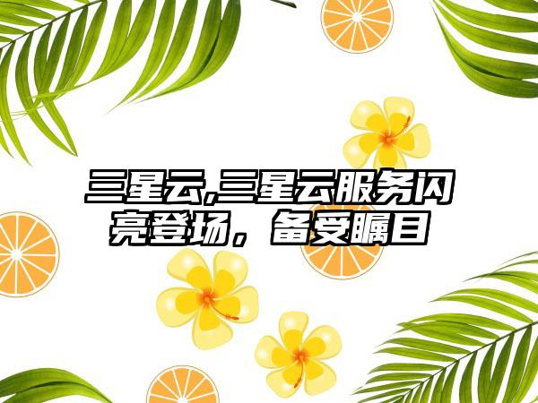 三星云,三星云服务闪亮登场，备受瞩目