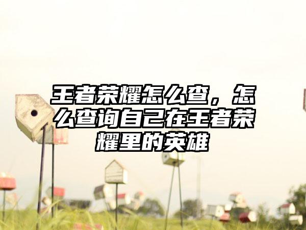 王者荣耀怎么查，怎么查询自己在王者荣耀里的英雄