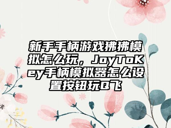 新手手柄游戏狒狒模拟怎么玩，JoyToKey手柄模拟器怎么设置按钮玩Q飞