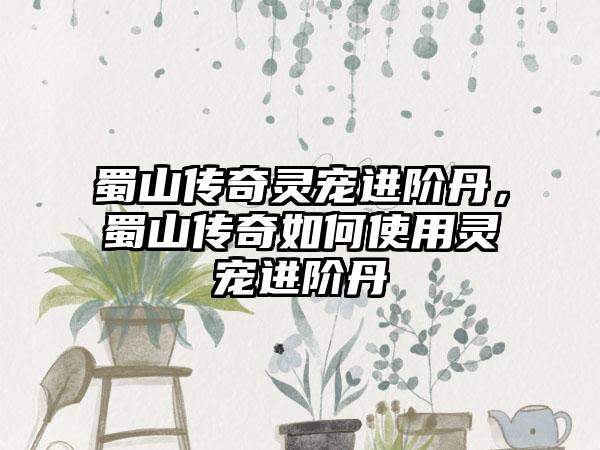 蜀山传奇灵宠进阶丹，蜀山传奇如何使用灵宠进阶丹