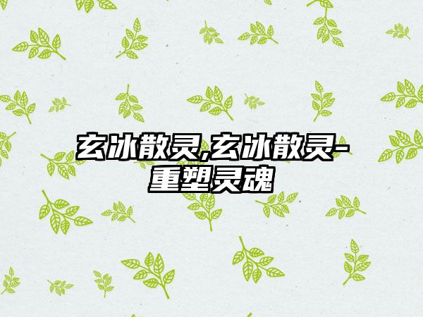 玄冰散灵,玄冰散灵-重塑灵魂