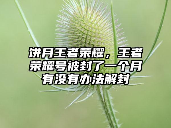 饼月王者荣耀，王者荣耀号被封了一个月有没有办法解封
