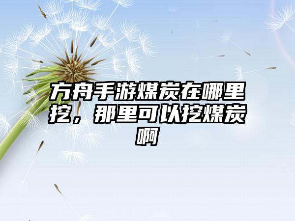 方舟手游煤炭在哪里挖，那里可以挖煤炭啊