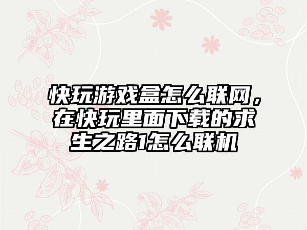 快玩游戏盒怎么联网，在快玩里面下载的求生之路1怎么联机