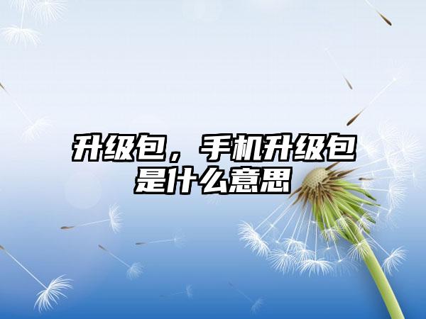 升级包，手机升级包是什么意思