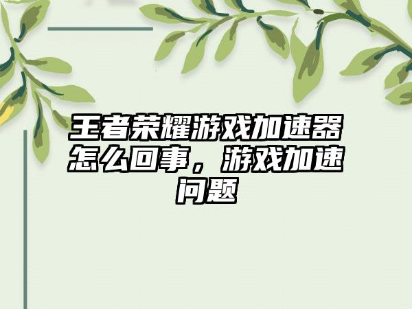 王者荣耀游戏加速器怎么回事，游戏加速问题