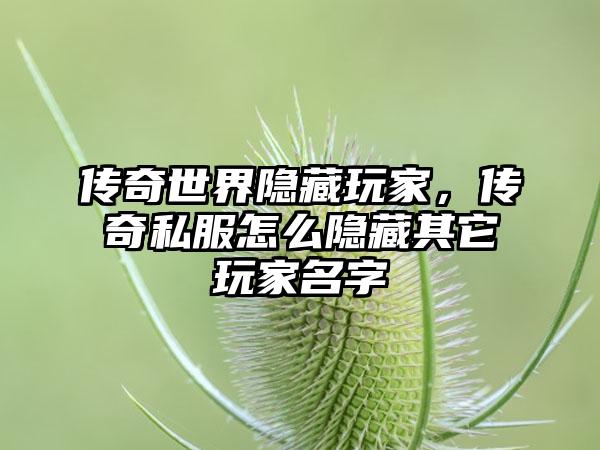 传奇世界隐藏玩家，传奇私服怎么隐藏其它玩家名字