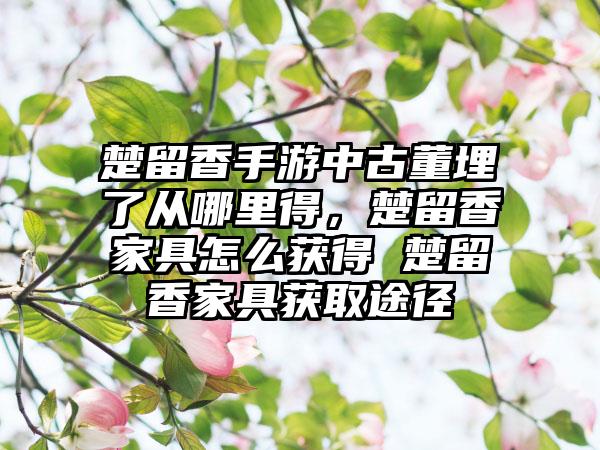 楚留香手游中古董埋了从哪里得，楚留香家具怎么获得 楚留香家具获取途径