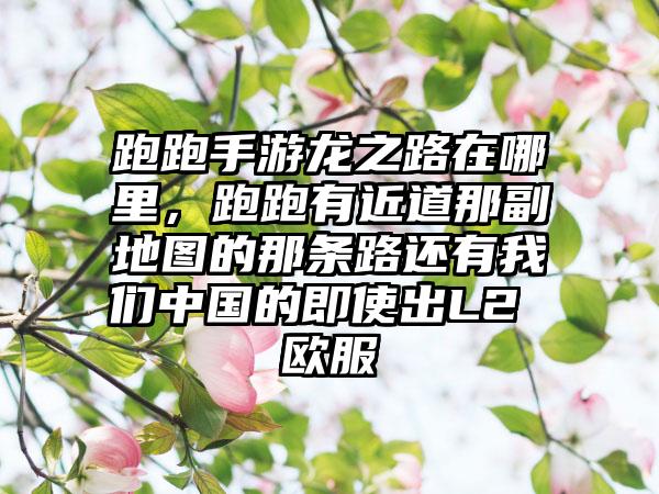 跑跑手游龙之路在哪里，跑跑有近道那副地图的那条路还有我们中国的即使出L2 欧服