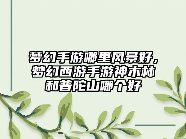 梦幻手游哪里风景好，梦幻西游手游神木林和普陀山哪个好