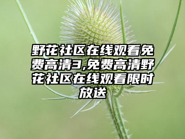 野花社区在线观看免费高清3,免费高清野花社区在线观看限时放送