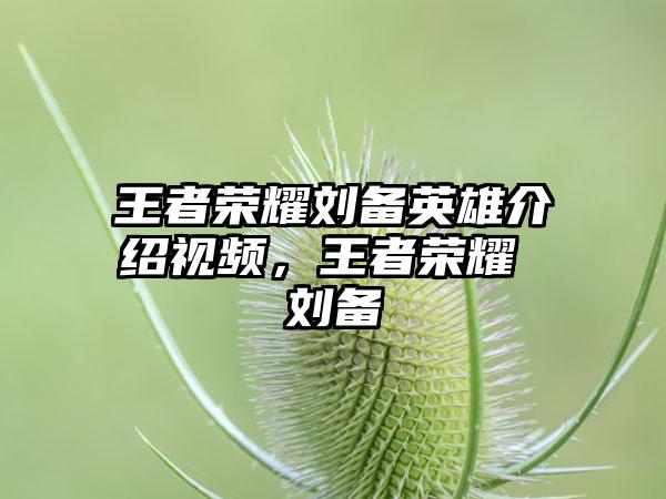 王者荣耀刘备英雄介绍视频，王者荣耀 刘备