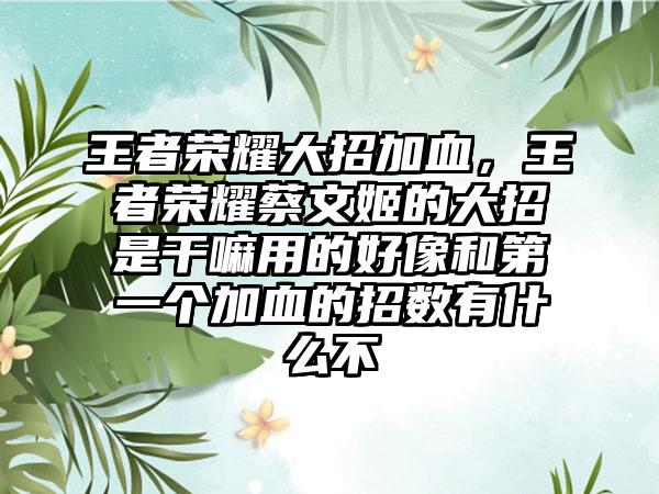 王者荣耀大招加血，王者荣耀蔡文姬的大招是干嘛用的好像和第一个加血的招数有什么不