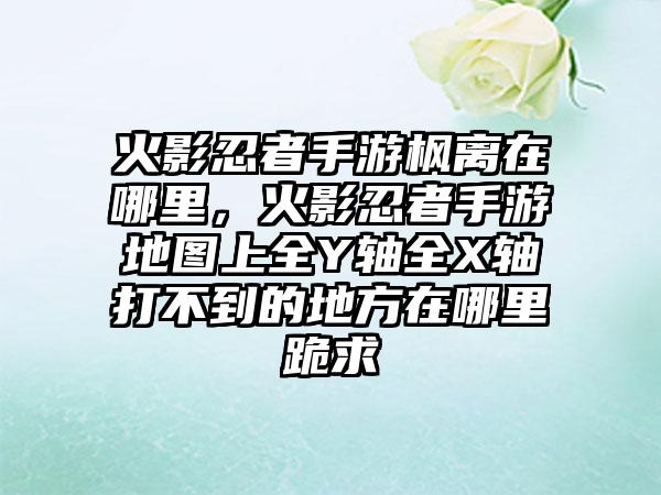 火影忍者手游枫离在哪里，火影忍者手游地图上全Y轴全X轴打不到的地方在哪里跪求