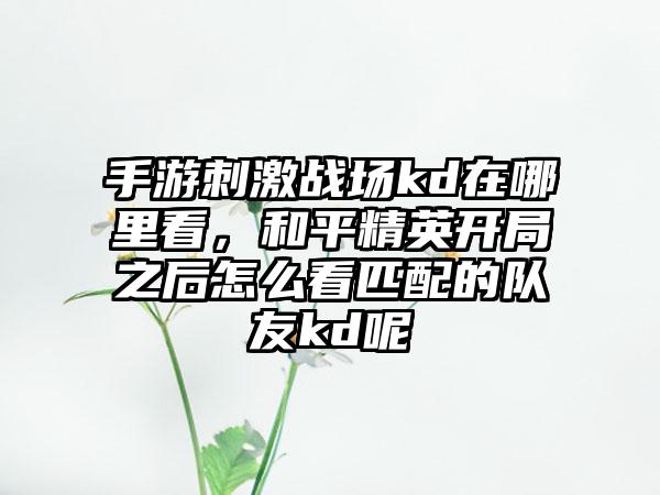 手游刺激战场kd在哪里看，和平精英开局之后怎么看匹配的队友kd呢