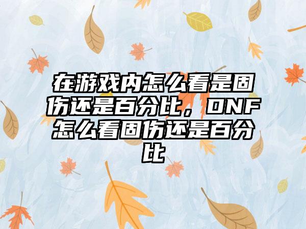 在游戏内怎么看是固伤还是百分比，DNF怎么看固伤还是百分比