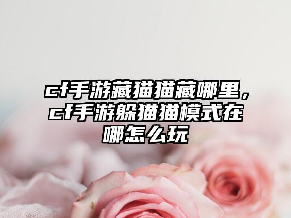 cf手游藏猫猫藏哪里，cf手游躲猫猫模式在哪怎么玩