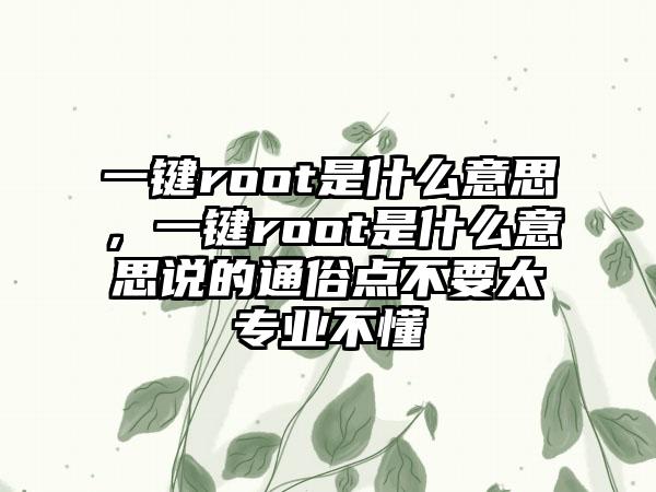 一键root是什么意思，一键root是什么意思说的通俗点不要太专业不懂