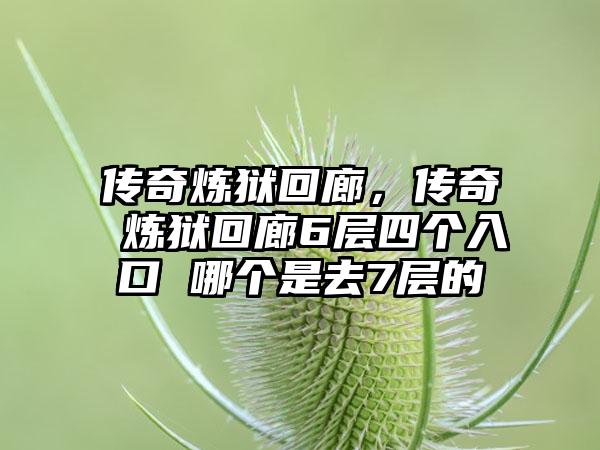 传奇炼狱回廊，传奇 炼狱回廊6层四个入口 哪个是去7层的