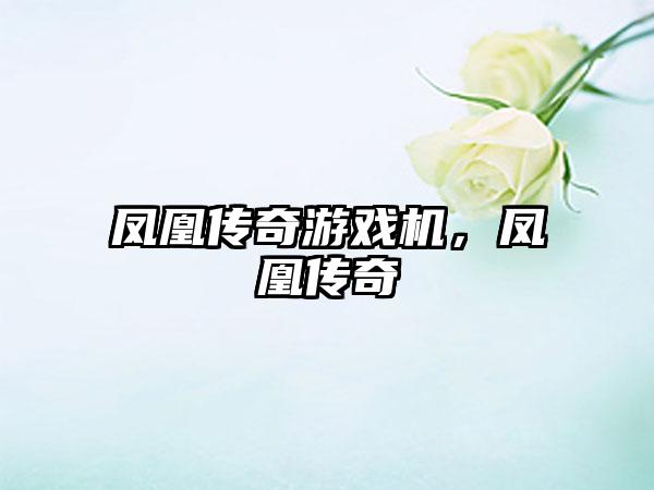 凤凰传奇游戏机，凤凰传奇