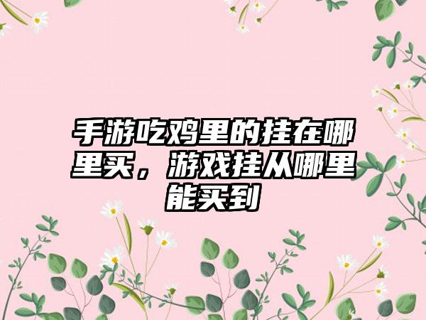 手游吃鸡里的挂在哪里买，游戏挂从哪里能买到