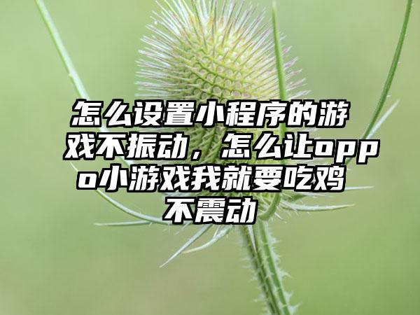 怎么设置小程序的游戏不振动，怎么让oppo小游戏我就要吃鸡不震动