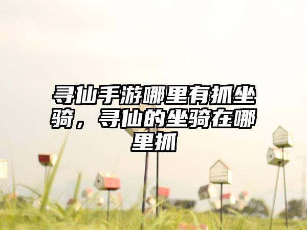 寻仙手游哪里有抓坐骑，寻仙的坐骑在哪里抓