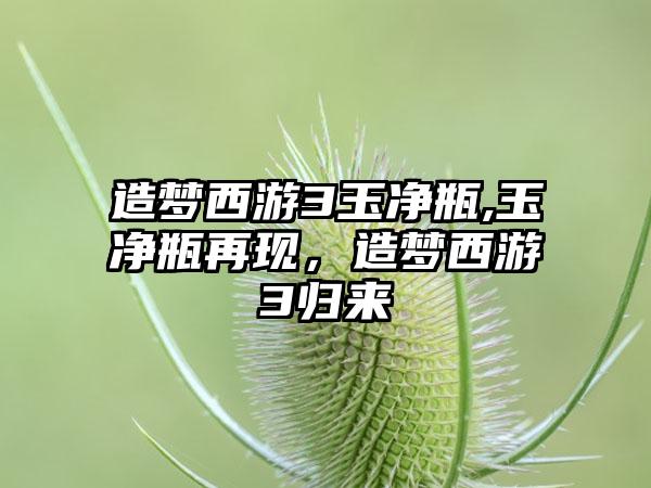 造梦西游3玉净瓶,玉净瓶再现，造梦西游3归来