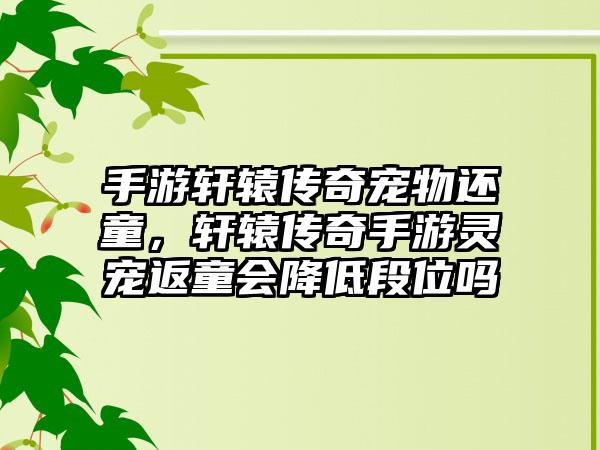 手游轩辕传奇宠物还童，轩辕传奇手游灵宠返童会降低段位吗