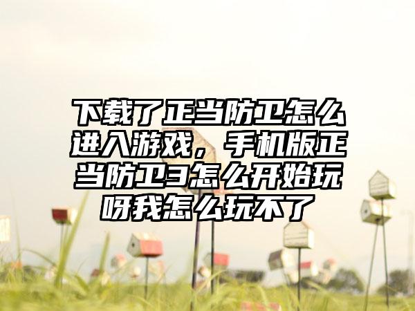 下载了正当防卫怎么进入游戏，手机版正当防卫3怎么开始玩呀我怎么玩不了