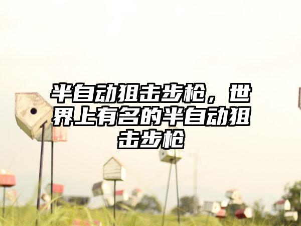 半自动狙击步枪，世界上有名的半自动狙击步枪