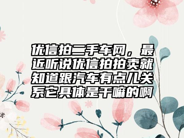 优信拍二手车网，最近听说优信拍拍卖就知道跟汽车有点儿关系它具体是干嘛的啊