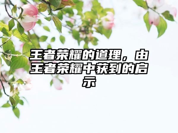 王者荣耀的道理，由王者荣耀中获到的启示