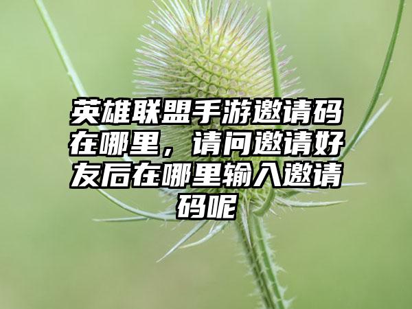 英雄联盟手游邀请码在哪里，请问邀请好友后在哪里输入邀请码呢