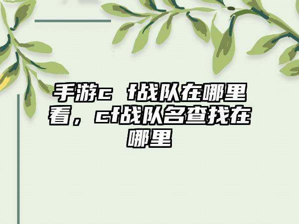 手游c f战队在哪里看，cf战队名查找在哪里