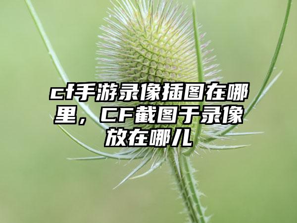 cf手游录像插图在哪里，CF截图于录像放在哪儿