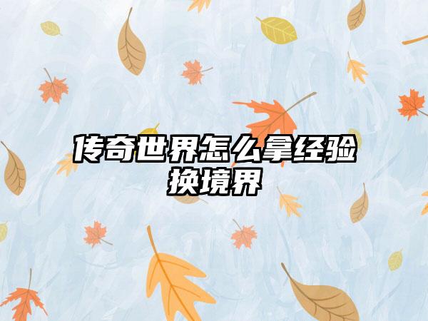 传奇世界怎么拿经验换境界