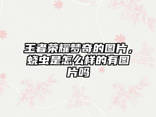 王者荣耀梦奇的图片，蛲虫是怎么样的有图片吗